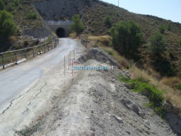 Fotos Noticias 2009